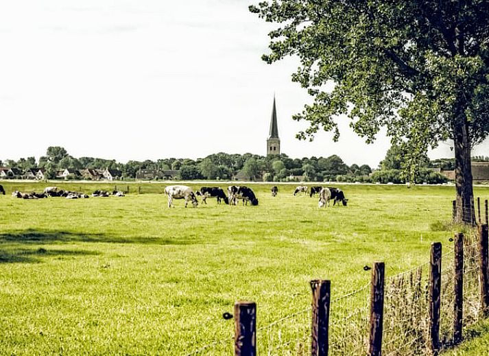 Blick auf die weiten Felder rund um das Ferienhaus in Klooster Lidlum, gelegen in der friesischen Landschaft von Klooster-Lidlum.