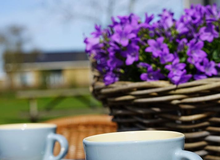 Guest house 261802 - Holiday property Het Friese platteland - Vakantiehuis in Wjelsryp