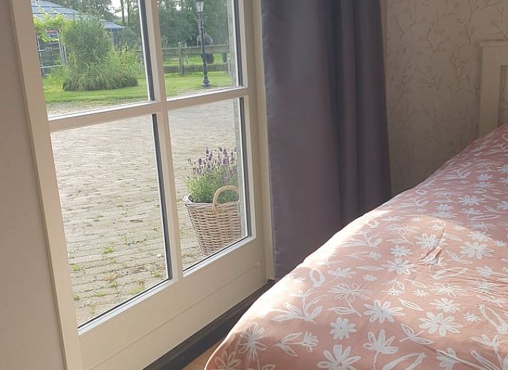 Guest house 261802 - Holiday property Het Friese platteland - Vakantiehuis in Wjelsryp