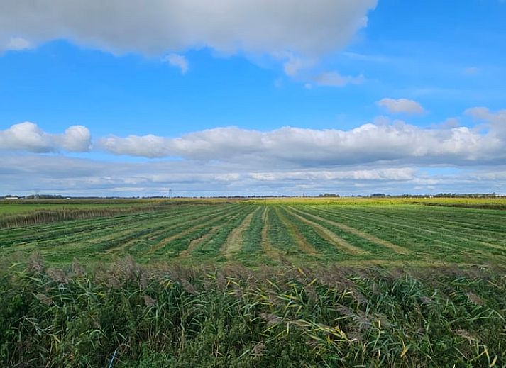 Unterkunft 2618102 - Ferienhaus Het Friese platteland - Vakantiehuisje in Ouwster-Nijega