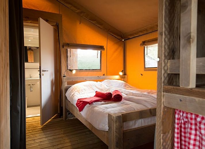 Guest house 2618306 - Tent house Het Friese platteland - Lodgetent