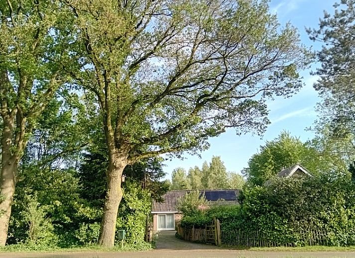 Unterkunft 2618701 - Ferienhaus Het Friese platteland - Vakantiehuisje in Hemrik
