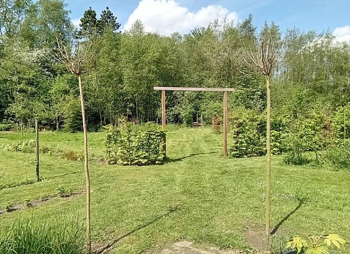 Unterkunft 2618701 - Ferienhaus Het Friese platteland - Vakantiehuisje in Hemrik