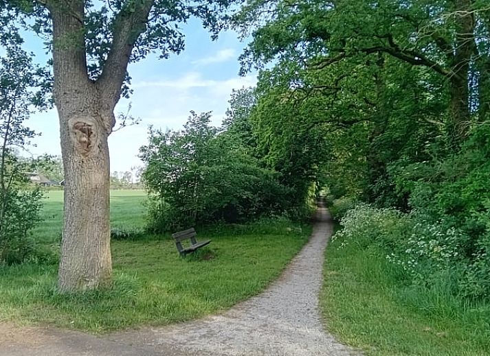 Unterkunft 2618701 - Ferienhaus Het Friese platteland - Vakantiehuisje in Hemrik