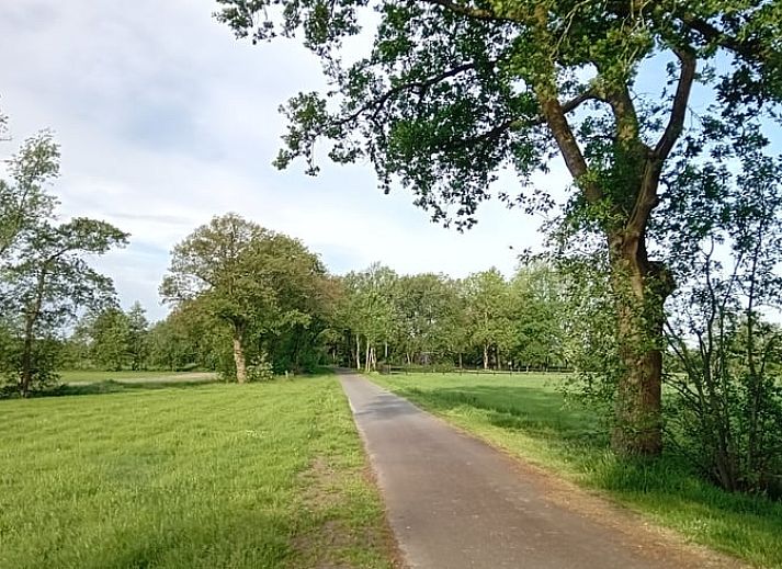 Unterkunft 2618701 - Ferienhaus Het Friese platteland - Vakantiehuisje in Hemrik