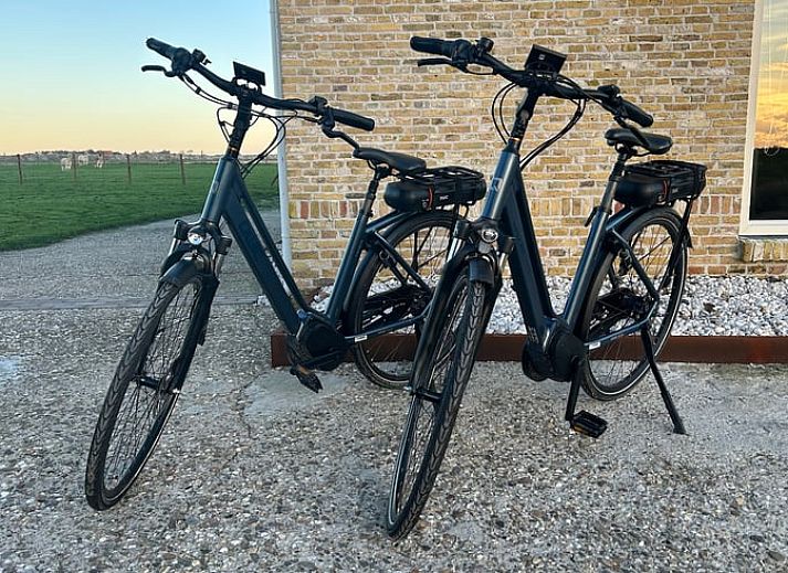 Gezellig terras bij Vakantiehuis in Sexbierum, perfect voor ontspanning in de rustige Friese natuur.