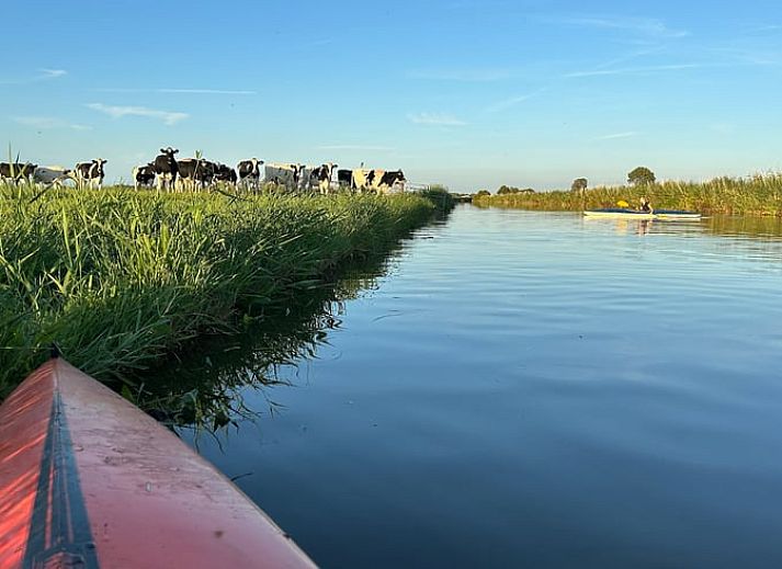 Uitzicht op het Friese platteland rondom Vakantiehuis in Sexbierum, met windmolens in de verte.