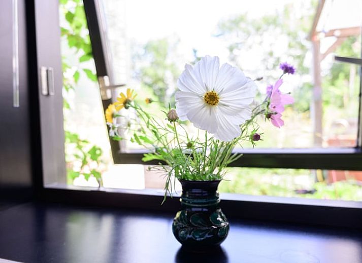 Stijlvolle woonkamer in Vakantiehuis in Marrum, een comfortabele binnenruimte in het hart van het Friese platteland.