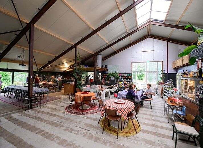 Moderne keuken in Vakantiehuis in Marrum, ideaal voor koken tijdens een verblijf op het schilderachtige Friese platteland.