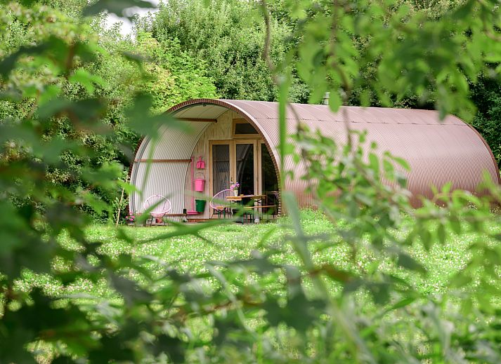 Guest house 261908 - Holiday property Het Friese platteland - FR492