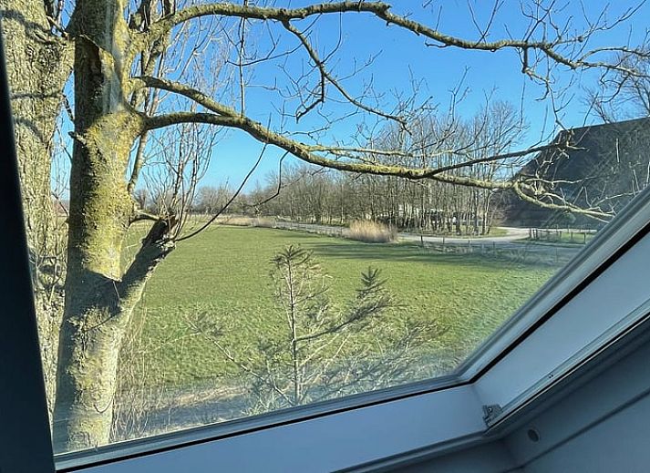 Ingang van Vakantiehuisje in Peins, Friesland, met uitnodigende deur en landelijke sfeer.