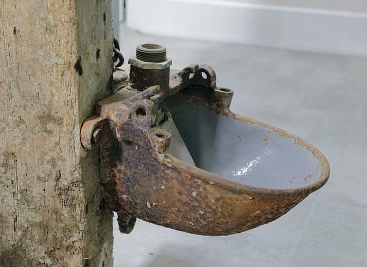 Charmante entree van Huisje in Bornwird, gelegen in Friesland.