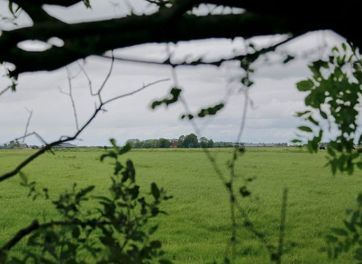 Gezellige zithoek in Huisje in Bornwird, vakantieaccommodatie op het Friese platteland.