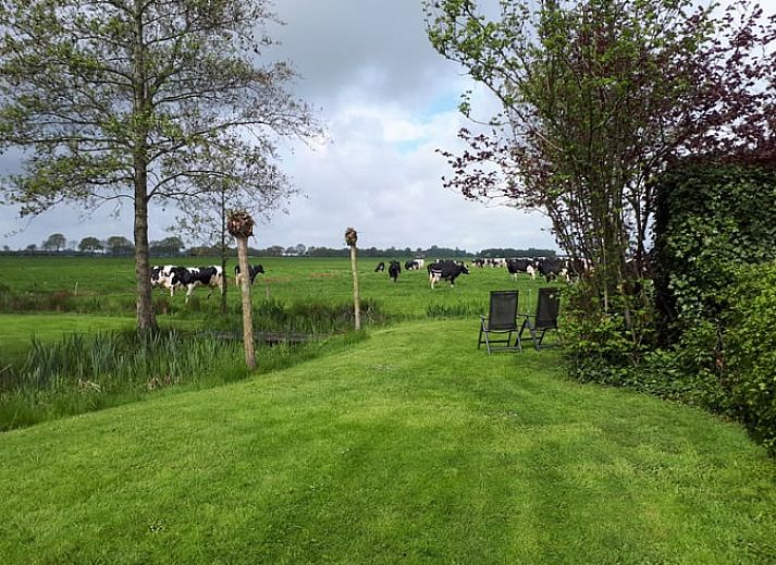Unterkunft 2619601 - Ferienhaus Het Friese platteland - Huisje in Gersloot