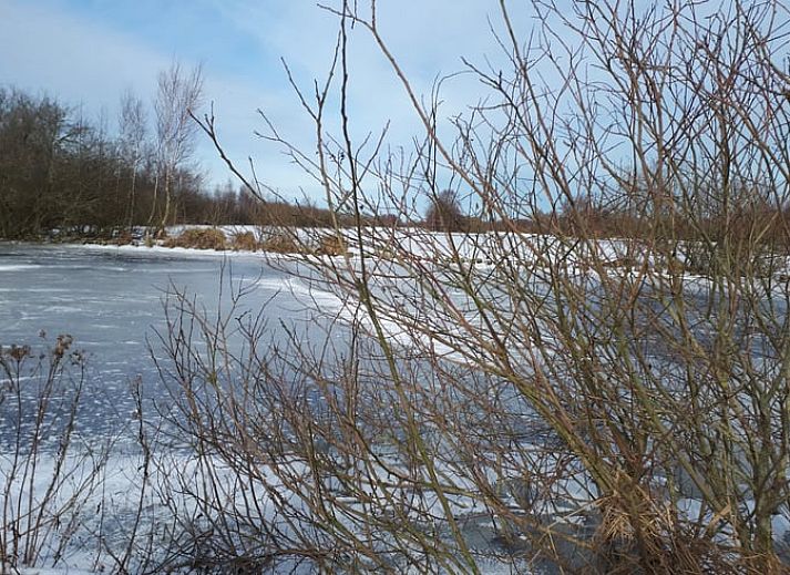 Unterkunft 2619601 - Ferienhaus Het Friese platteland - Huisje in Gersloot