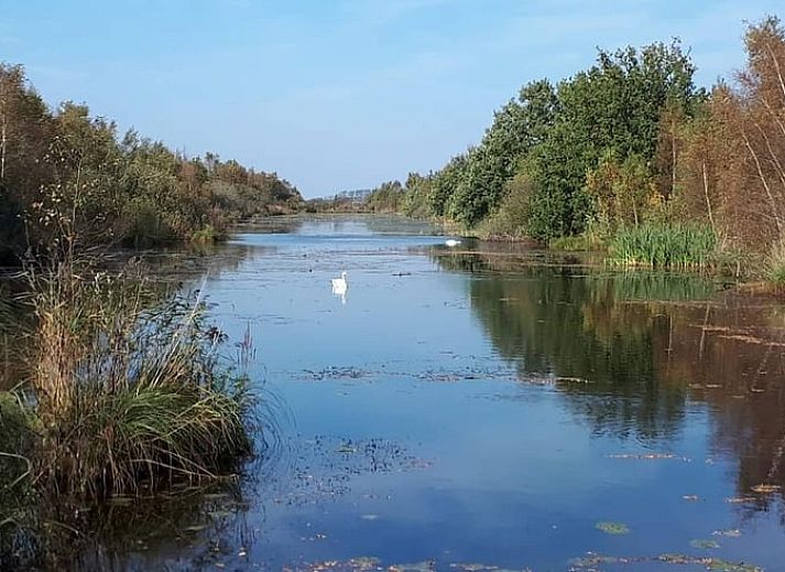 Unterkunft 2619601 - Ferienhaus Het Friese platteland - Huisje in Gersloot