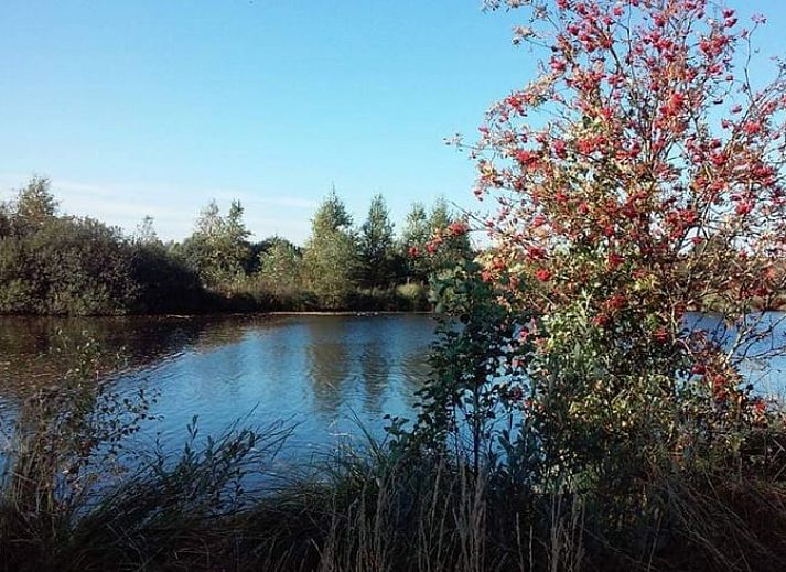 Unterkunft 2619601 - Ferienhaus Het Friese platteland - Huisje in Gersloot