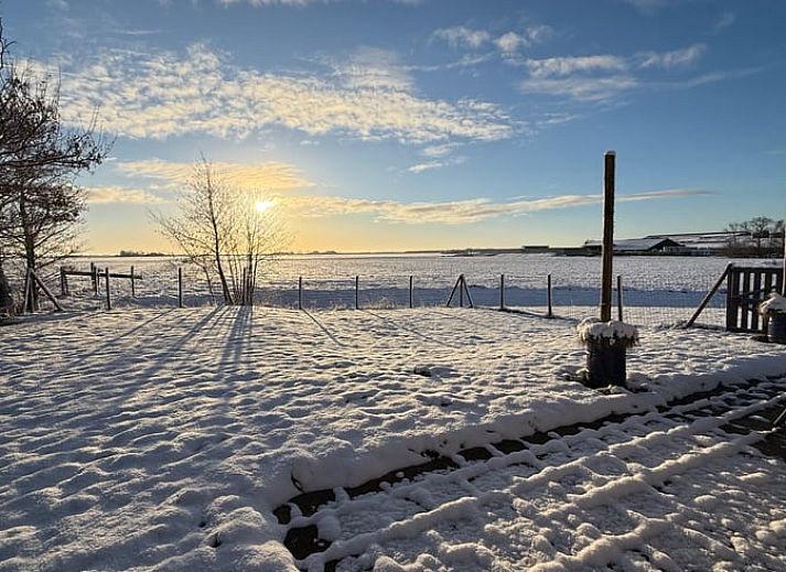 Sonnige Terrasse am Ferienhaus in Tjerkgaast mit Blick auf die friesische Landschaft.