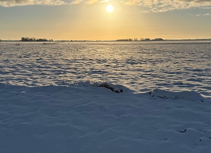 Sonnige Terrasse am Ferienhaus in Tjerkgaast mit Blick auf die friesische Landschaft.
