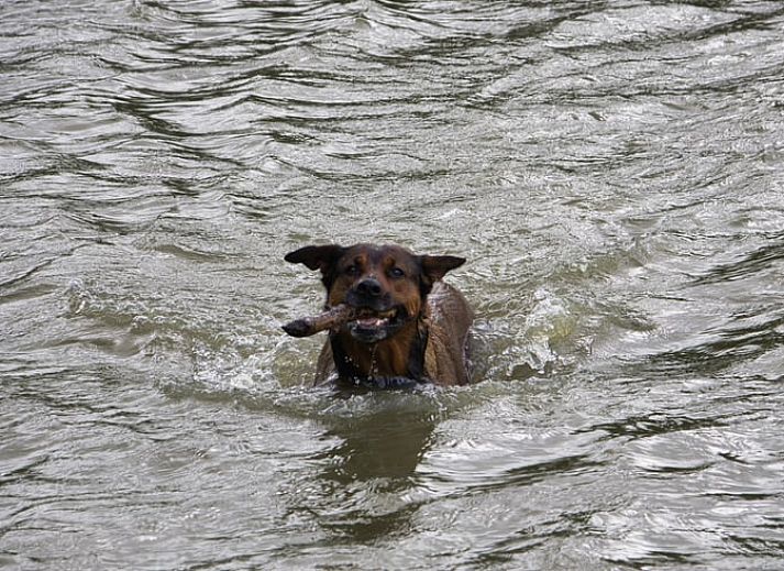Moderne badkamerfaciliteiten in Vakantiehuisje in Jislum, een comfortabel verblijf op het rustige Friese platteland.