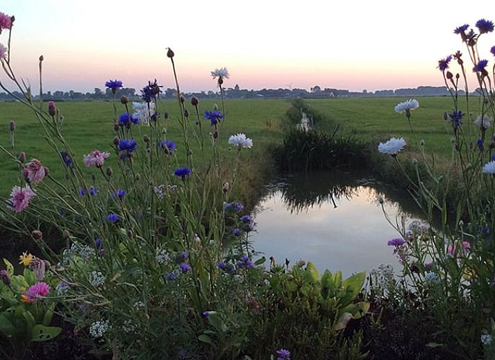 Gezellige binnenruimte van Vakantiehuisje in Jislum met comfortabele stoelen, ideaal voor ontspanning in Friesland.