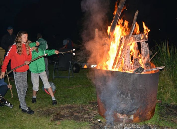 Gezellige binnenruimte van Vakantiehuisje in Jislum met houten interieur en moderne keuken.