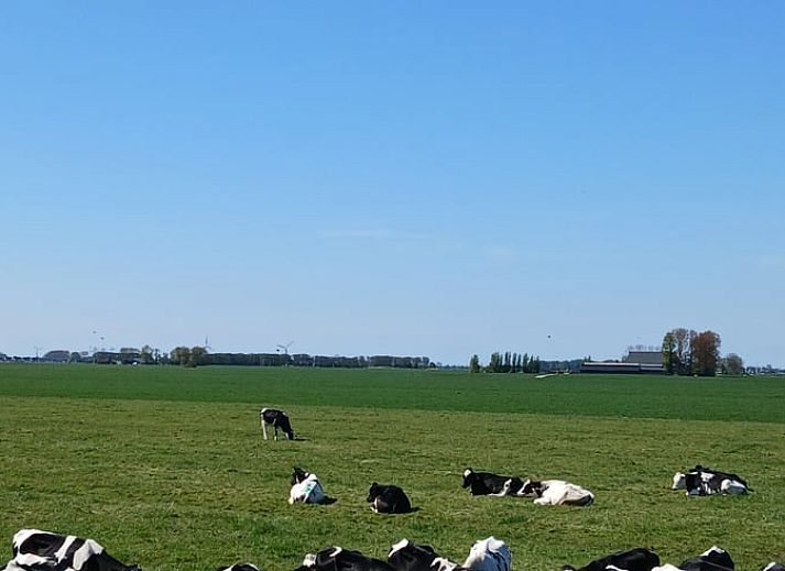 Guest house 2620203 - Holiday property Het Friese platteland - Vakantiehuisje in Jislum