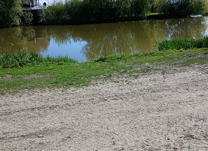 Guest house 2620203 - Holiday property Het Friese platteland - Vakantiehuisje in Jislum