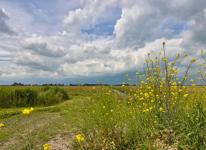 Ontspannen in een hottub met uitzicht op de Friese natuur in Vakantiehuisje in Jislum.