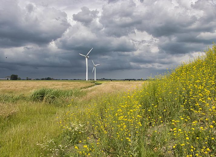 Ontspannen in een hottub met uitzicht op de Friese natuur in Vakantiehuisje in Jislum.