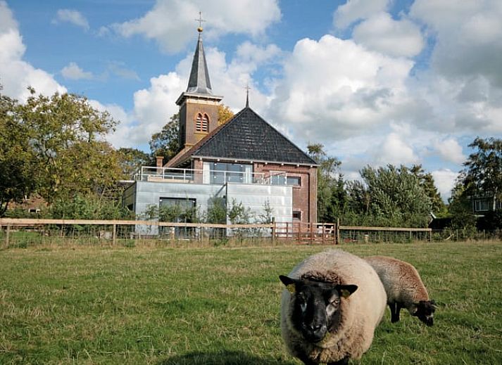 Guest house 2620401 - Holiday property Het Friese platteland - Vakantiehuisje in Easterwierrum