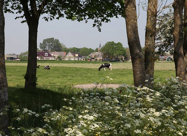 Guest house 2620401 - Holiday property Het Friese platteland - Vakantiehuisje in Easterwierrum