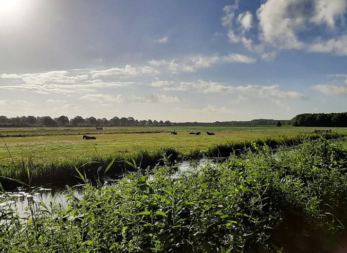 Unterkunft 2620701 - Ferienhaus Het Friese platteland - Vakantiehuisje in De Knipe