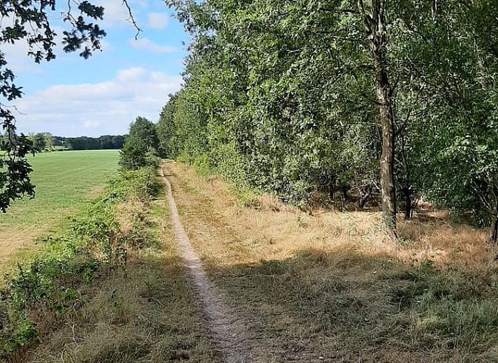 Unterkunft 2620701 - Ferienhaus Het Friese platteland - Vakantiehuisje in De Knipe