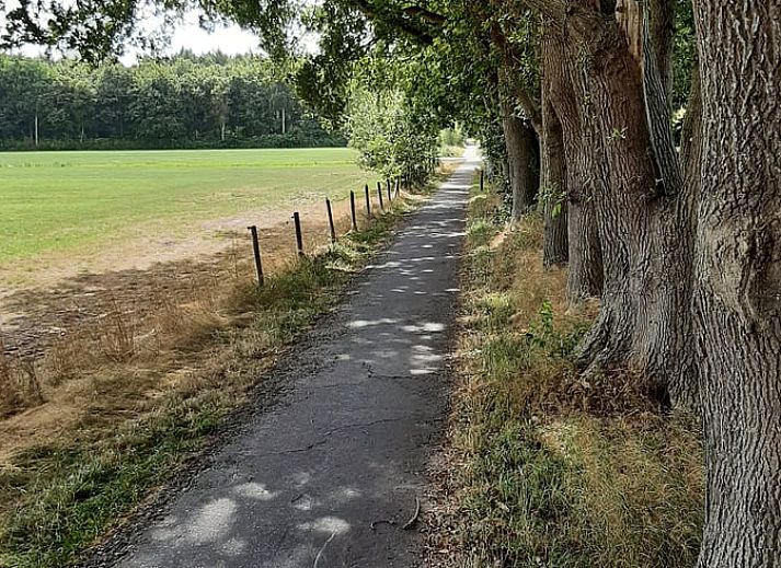 Unterkunft 2620701 - Ferienhaus Het Friese platteland - Vakantiehuisje in De Knipe