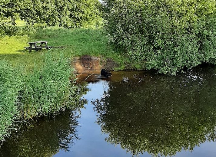 Unterkunft 2620701 - Ferienhaus Het Friese platteland - Vakantiehuisje in De Knipe