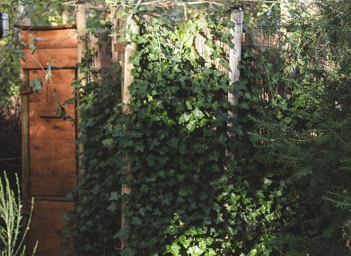 Unterkunft 2620801 - Ferienhaus Het Friese platteland - Vakantiehuis in Nieuwehorne