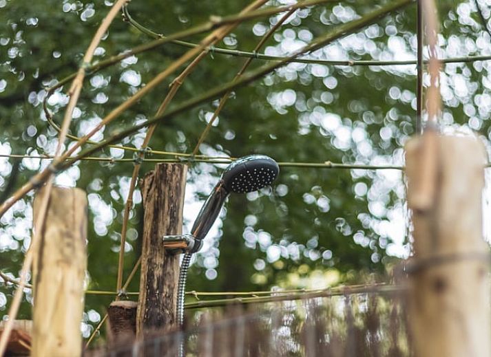 Unterkunft 2620801 - Ferienhaus Het Friese platteland - Vakantiehuis in Nieuwehorne