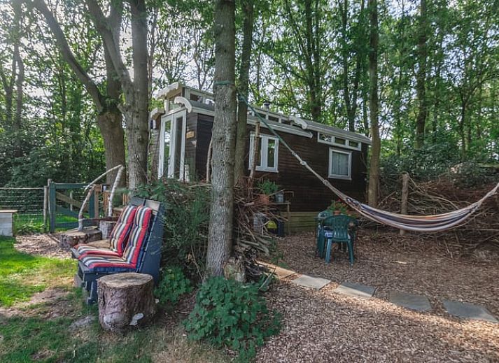 Unterkunft 2620801 - Ferienhaus Het Friese platteland - Vakantiehuis in Nieuwehorne