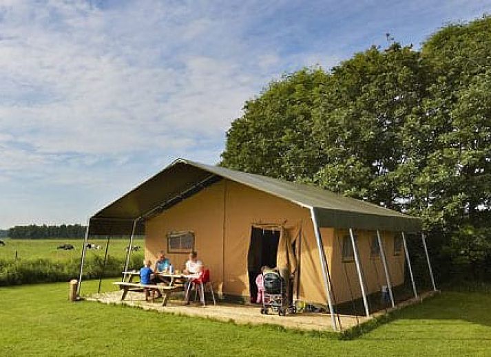 Guest house 2620902 • Tent house Het Friese platteland • Safaritent + Airco 