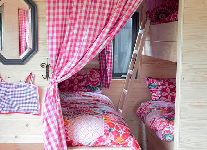 Guest house 2620905 - Holiday property Het Friese platteland - Vakantiehuis in Oldeholtwolde