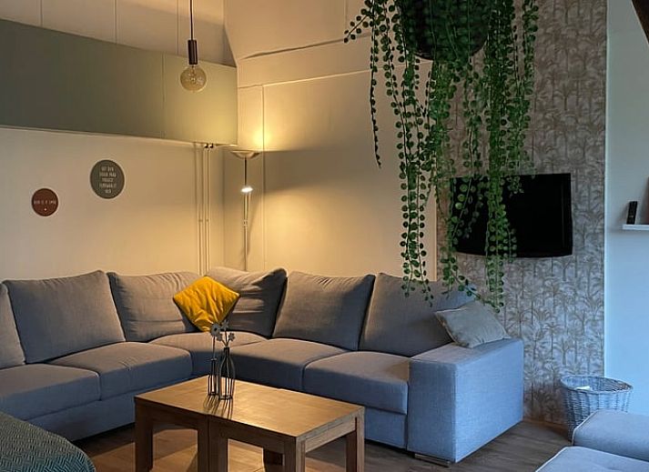 Zufahrtsstrasse zum Ferienhaus in Hegebeintum, umgeben von Baeumen und bunten Blumen in Friesland.