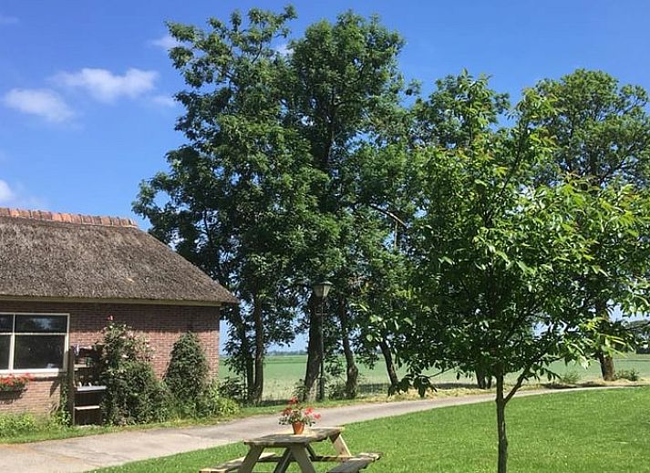 Picknickplatz am Ferienhaus in Hegebeintum, ruhige Umgebung mit gruenem Gras und Baeumen.