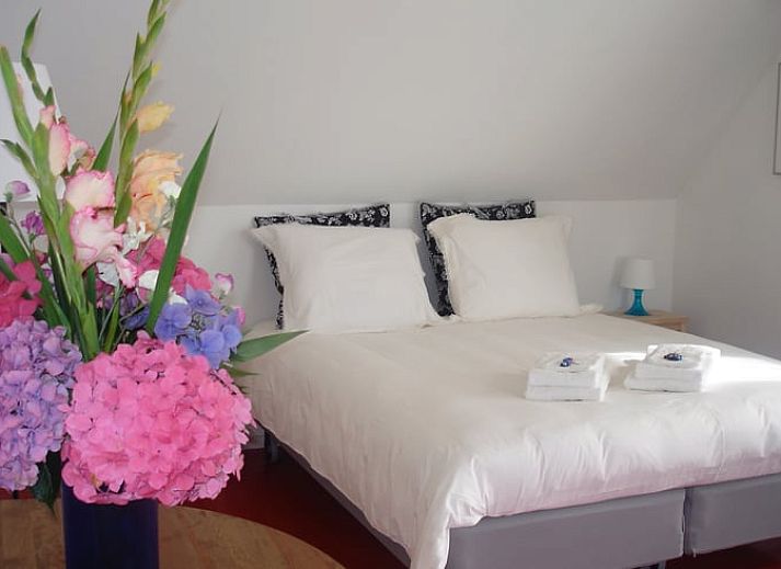 Guest house 2621301 - Holiday property Het Friese platteland - Vakantiehuisje in Gytsjerk