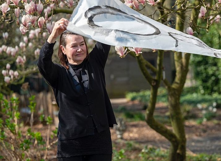 Guest house 2621301 - Holiday property Het Friese platteland - Vakantiehuisje in Gytsjerk