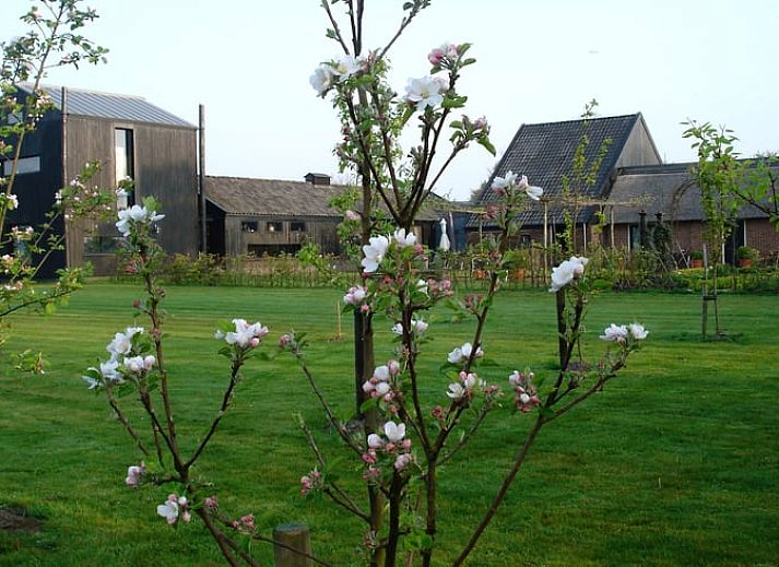 Guest house 2621301 - Holiday property Het Friese platteland - Vakantiehuisje in Gytsjerk