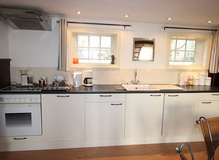 Huisje in Readtsjerk, een charmant vakantiehuis op het Friese platteland van Friesland, met rieten dak en groene omgeving.