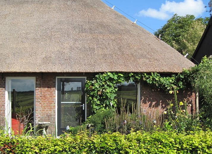 Gezellige binnenruimte van Huisje in Readtsjerk op het Friese platteland, met houten trap en knusse zithoek voor een ontspannen verblijf.