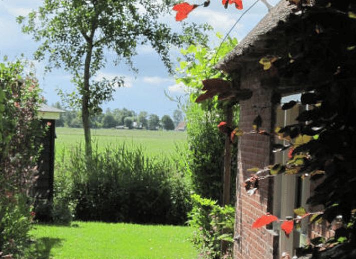 Gezellige binnenruimte van Huisje in Readtsjerk op het Friese platteland, met houten trap en knusse zithoek voor een ontspannen verblijf.