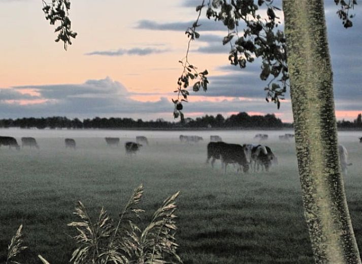 Gezellige woonkamer in Huisje in Readtsjerk, vakantiehuis op het Friese platteland met houten balken en landelijke charme.